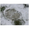 accumulationneigesole.html