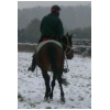 croisepapattes2.html