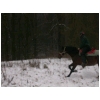 galopneige.html