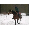 maniabilite-neige.html