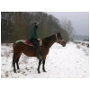 onpose-photo-neige.html