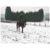 pas-neige2.html