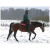 pas-neige.html