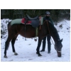 sieg-randonnee-hiver.html
