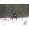 trot-neige.html